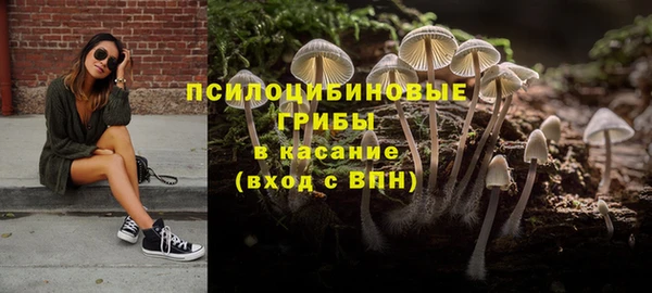 трава Козловка